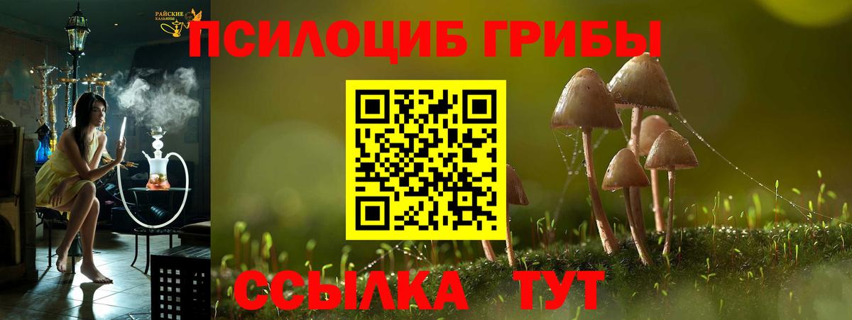 Томск  цены наркотик  Вход с VPN  Галлюциногенные грибы мухоморы 